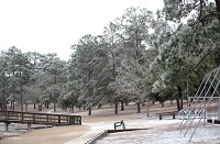 Photo of ice accumulations in a park in De Funiak Springs, FL. Photo courtesy of Keith Wilson.