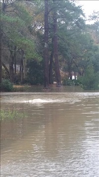 Flooding in Lake Park, GA on December 24, 2014. Photo courtesy of WALB-TV.