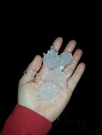 Large hailstones on Maryland Drive in Albany, GA during the pre-dawn hours of December 23, 2014. Photo submitted by Melissa Milstead to WALB-TV.