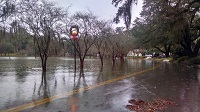A flooded Lake Ella in Tallahassee, FL on December 24, 2014. Photo courtesy of Max Tsaparis via Twitter.