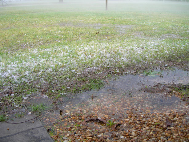 Photo showing hail accumulated on the ground north of Dothan, AL on March 26, 2011.