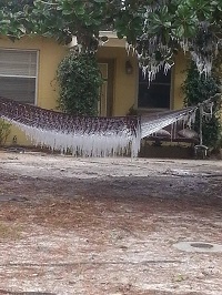Icicles hang from a tree and hammock in Panama City, FL. Photo submitted by Clint Peace via Twitter to Ty Eliasen of WMBB.