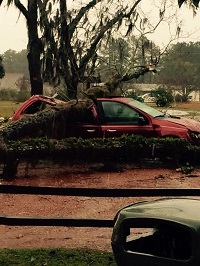 A car crushed by a fallen tree in Thomas County, GA. Photo submitted by Thomas County EM.