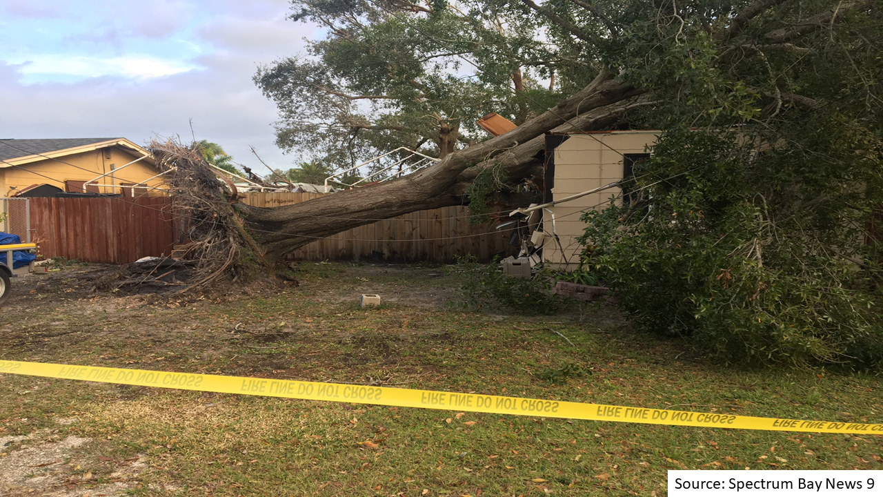 Tree on home in Seminole