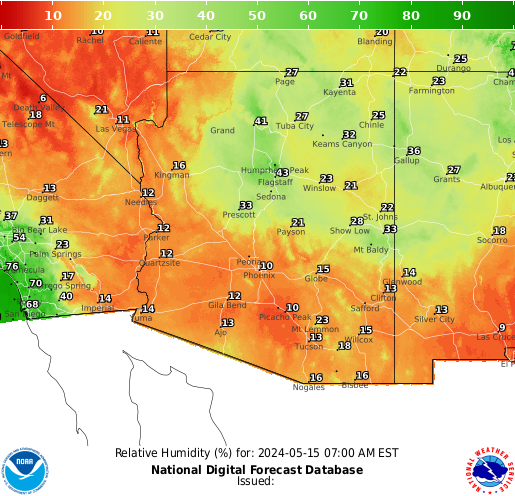Arizona Bad Hair forecast for the next 7 days