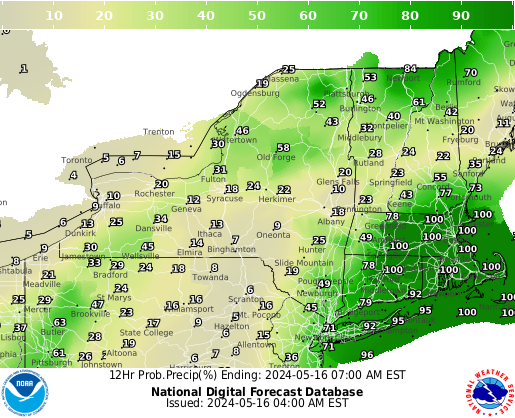 New York Precipitation Probability forecast for the next 7 days