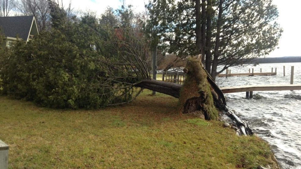 Grand Traverse County Tree Damage due to strong winds