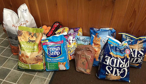 WFO Caribou helped out our furry friends this year by collecting cat food and litter, dog food, treats, and toys. The items were donated to the Central Aroostook Humane Society who were very appreciative of the donation. The donated items will help homeless pets in the area until they can find loving homes.