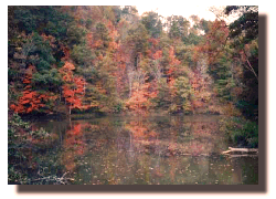 fall pond