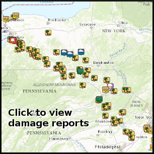 Damage reports