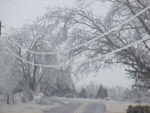 ice in trees and powerlines in randolph county