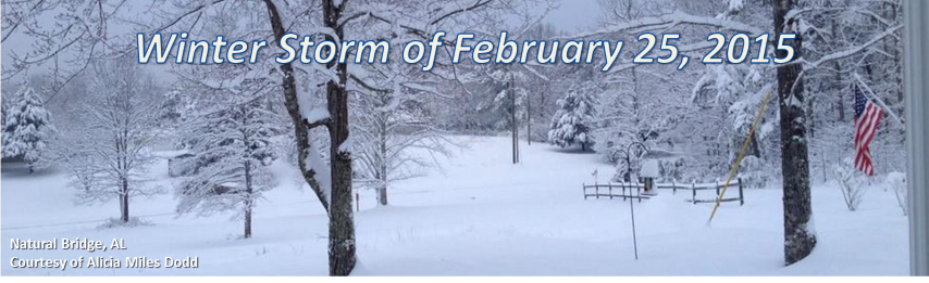Winter Storm of February 25, 2015