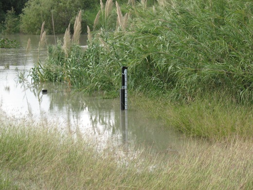 Photo of San Benito gage, showing level nearing 16 meters