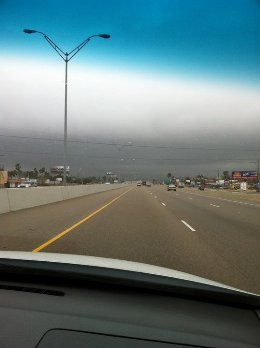 Photo taken just east of Weslaco a little after 10 AM CST, February 9th 2011 (click to enlarge)