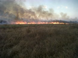 Back Burn set just before sunset on the King Ranch near Rudolph to create a fire break to help control massive wildfire, January 2 2011 (click to enlarge)