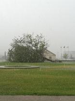 Zapata, Texas: tree down with hail and rain falling