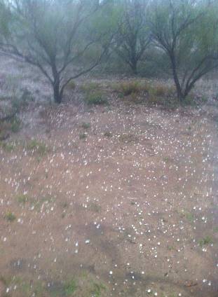 Quarter to ping-pong ball size hail covers ground in Zapata, Texas, during late afternoon November 22, 2014