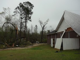 Tree and home damage caused by the tornado.