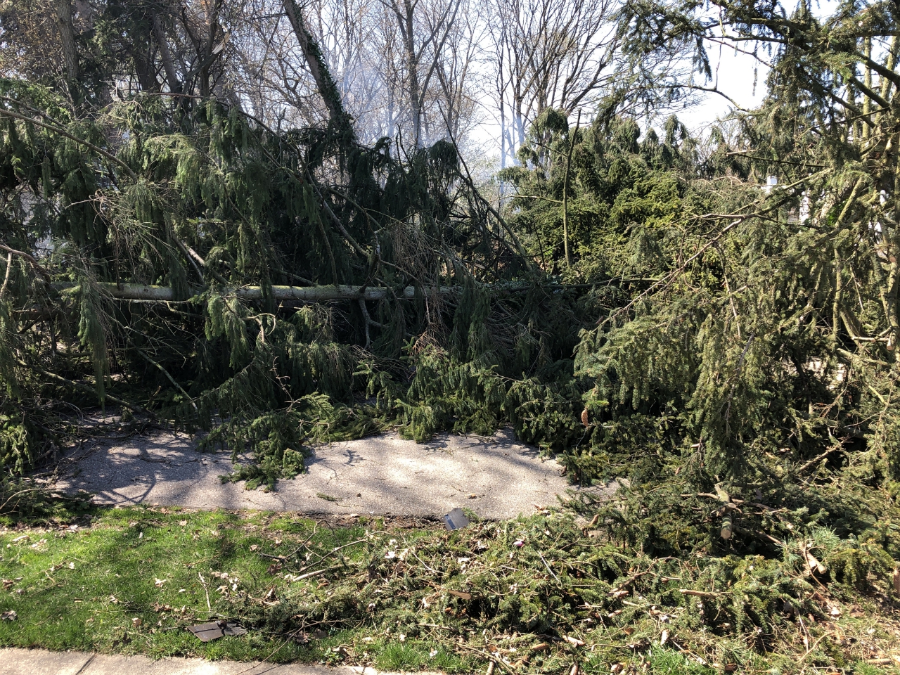 storm damage Barberton/Green