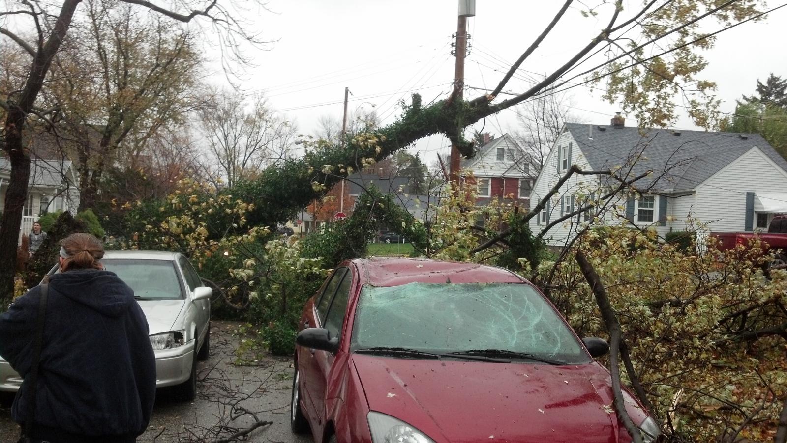 tree and powerline damage in Lorain Co.