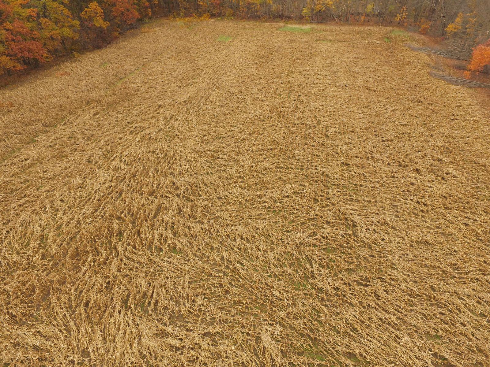 Flattened field from Williamsfield Tornado, November 5, 2017