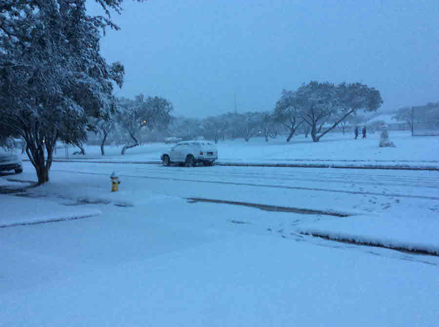 Snow in Park Near Holly & Airline