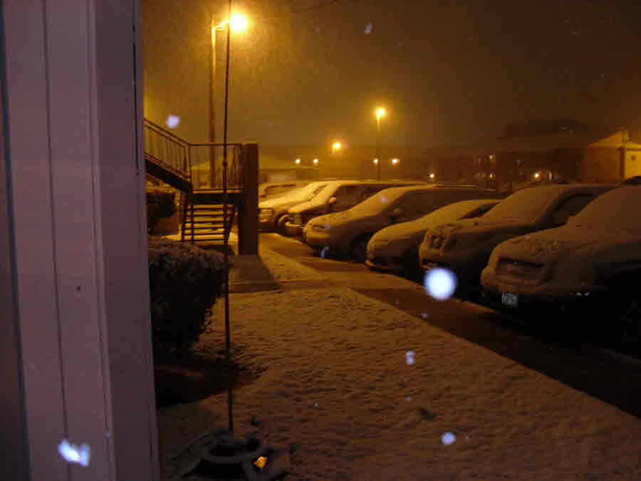 Victoria: Snow Covered Cars in Parking Lot - Photo Credit: Terrry Turner