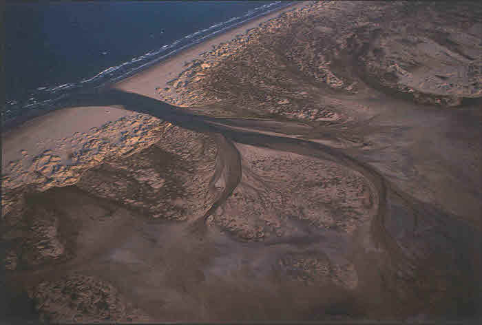Areal Photo Padre Island