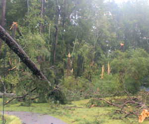 [ Tornado Damage from Cherokee County. ]