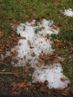 [ Twelve to eighteen inches of pea sized hail fell March 12 in Whitfield County. Some of the hail remained on the ground a day later. ]