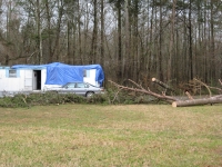 [ Mobile home in Whitfield County was severely damaged by fallen tree. ]