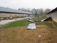 [ Damage to chicken house. ]
