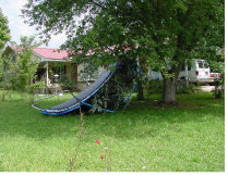 [ Closer view of trampoline resting against tree ]