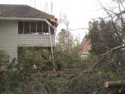 [ Trees down on another house in same area. ]