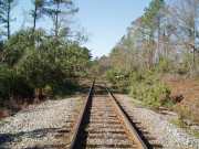 [ Trees down on railroad tracks. ]
