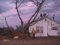 [ House & tree damage in Wilcox County north of Pitts ]