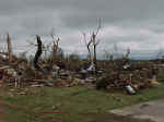 Widespread tree damage from tornado in Manchester.