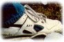 Picture of Shoe