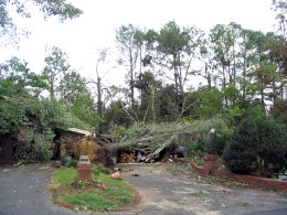 Storm damage near Albertville