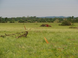 Near Mt Hope in Lawrence County...a hay baler that was thrown about 1/2 mile by the then EF-5 tornado. 