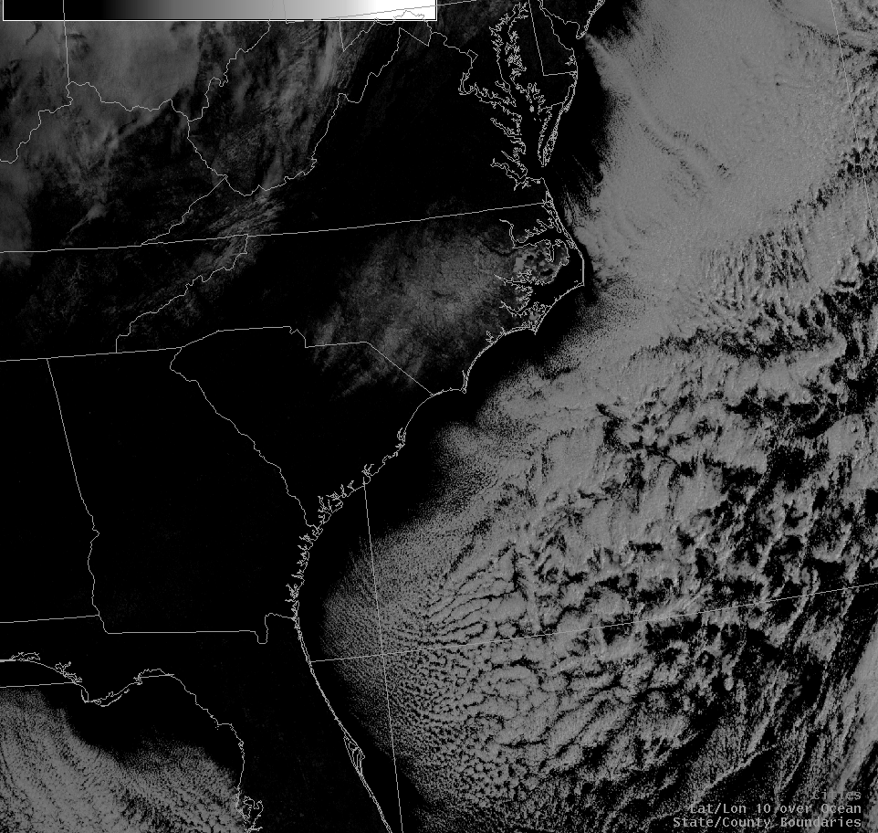 An image of visible satellite imagery from the Jan 20, 2009 snow event