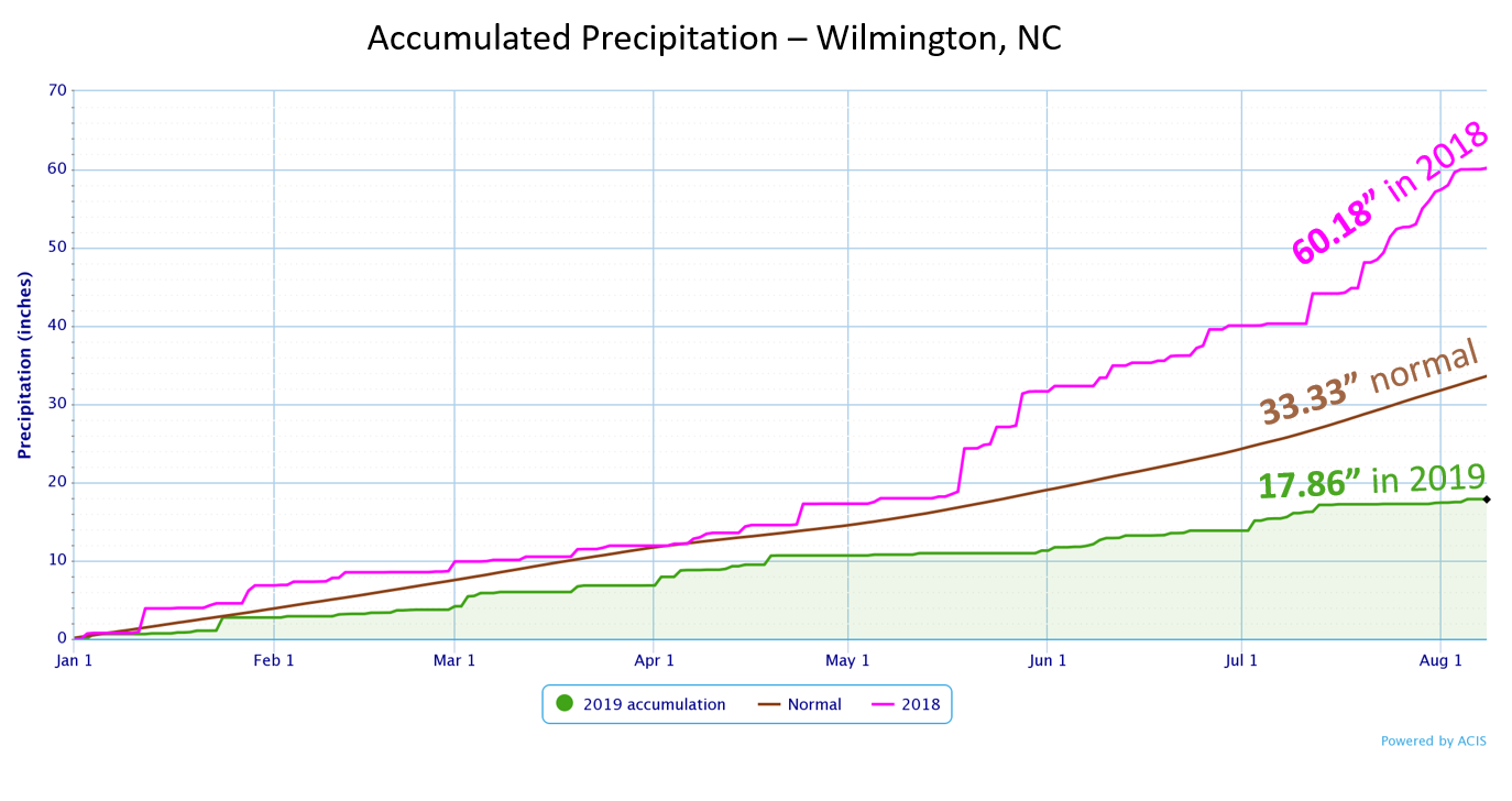 Wilmington year-to-date rainfall through August 7