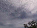 An excellent example of cirrocumulus. These clouds are found about five miles above the earth's surface. This picture was taken at the weather office on July 19, 2000.