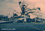 Tornado aftermath at Marion, Indiana, from the Palm Sunday 1965 tornadoes. Note the sheet metal wrapped around the tree branches.