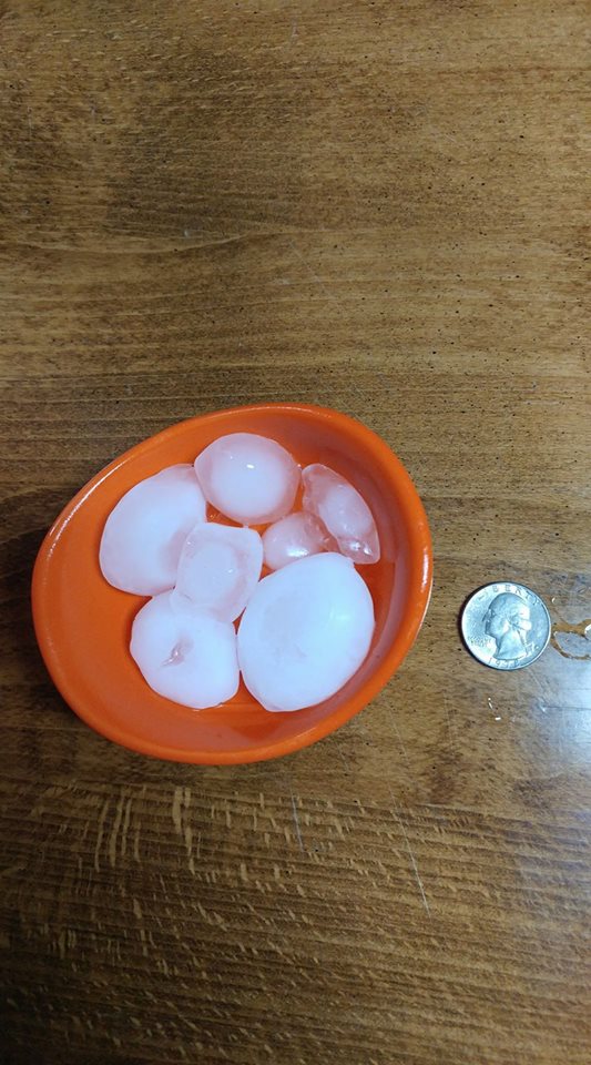 A photo of a bowl filled with large hail that fell near Centerville, MO.