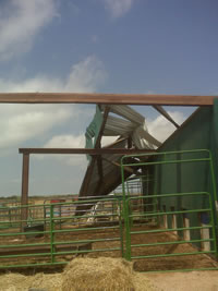 Damage near Turkey done by strong straight line wind early on June 14, 2010.