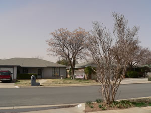 A picture taken from a south Lubbock neighborhood during the first half of the wind/dust event on 20 February 2012. Click on the image for a larger view.  