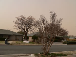 A picture taken from a south Lubbock neighborhood near the height of the wind/dust event on 20 February 2012. Click on the image for a larger view.  