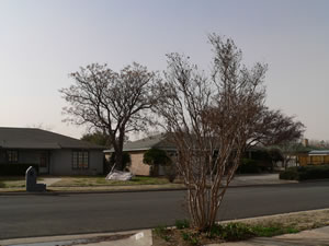 A picture taken from a south Lubbock neighborhood as the wind/dust event on 20 February 2012 was winding down. Click on the image for a larger view.  