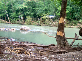 Six to eight inches of rain rain caused the Little Missouri River to climb 20 feet in a just a few hours at the Albert Pike Recreation Area (Montgomery County) during the early morning hours of 06/11/2010.